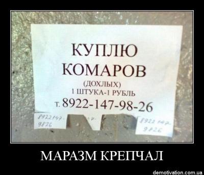 Прикрепленное изображение: 1312609770.jpg